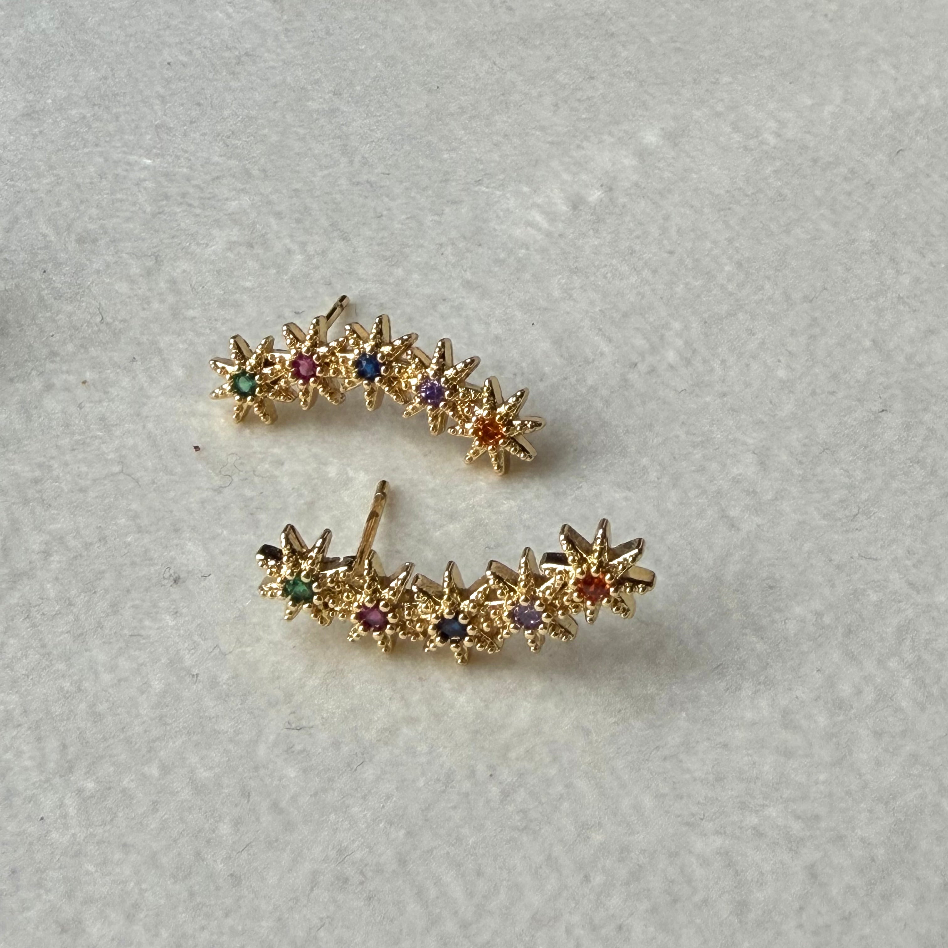 Multi colors earring