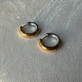 Bicolor Earring