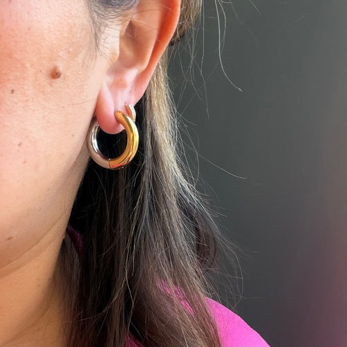 Bicolor Earring