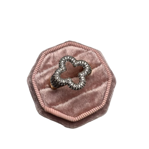Dani Ring