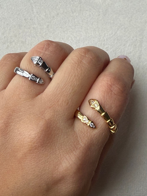 Bv Ring