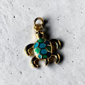 Tortuga blue