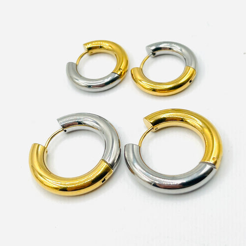 Gold and Silver Earrings