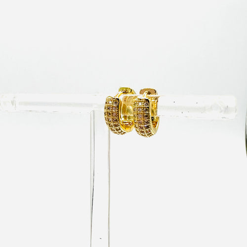 Mini circon hoops Earring