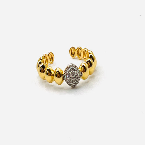 Gold and Silver Ring