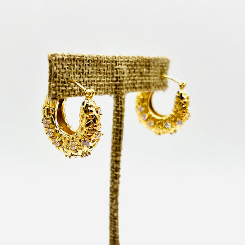 Cristal argolla Earring