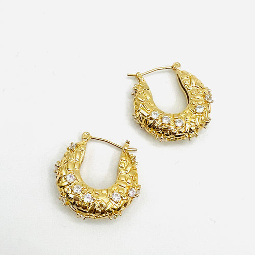 Cristal argolla Earring