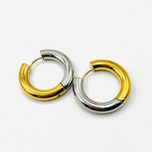 Gold and Silver Earrings